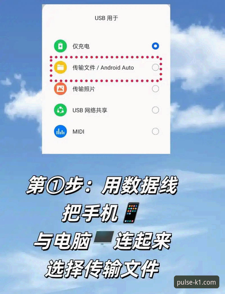 K1SPORT电脑版手机版安装与使用教程：从下载到实战的完整指南